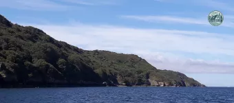Pointe de